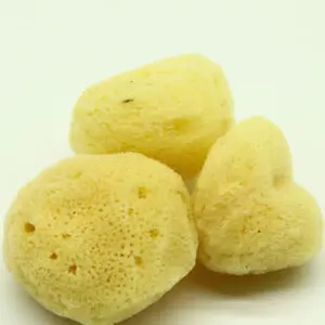 Natural Sea Sponge Fine Pack