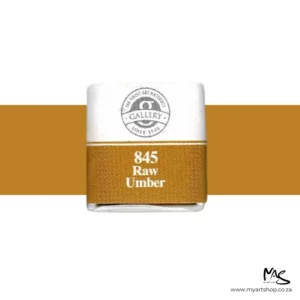 Raw Umber Mungyo Professional Watercolour Half Pan