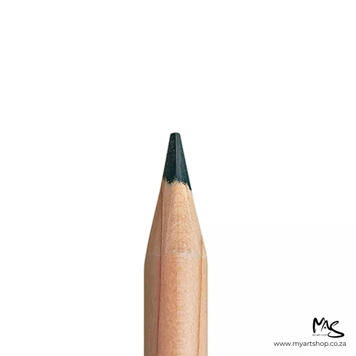 dark-sap-green-caran-dache-luminance-6901-colour-pencil-03 Dark Sap Green Caran D'Ache Luminance 6901 Colour Pencil