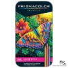 36's Prismacolor Premier Coloured Pencil Set