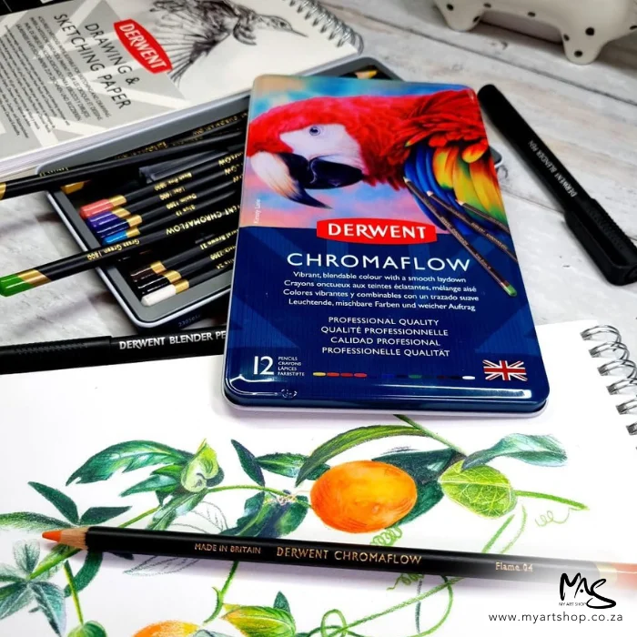 derwent-chromaflow-pencil-set-12s-04 A promotional image containing a Set of 12 Derwent Chromaflow Pencils laying on a drawing of some fruit that was made using the pencils. The image is cut off by the frame.