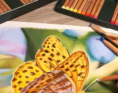 faber-castell-pitt-pastel-pencils-pastel-dreams-come-true